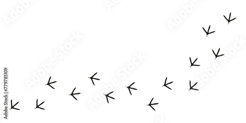 Paws, chicken tracks, diagonal path of chicken tracks, vector black silhouettes. © Тима Рябец
