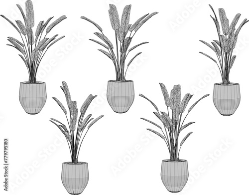 vector design sketch illustration of ornamental plants in pots for home interiors