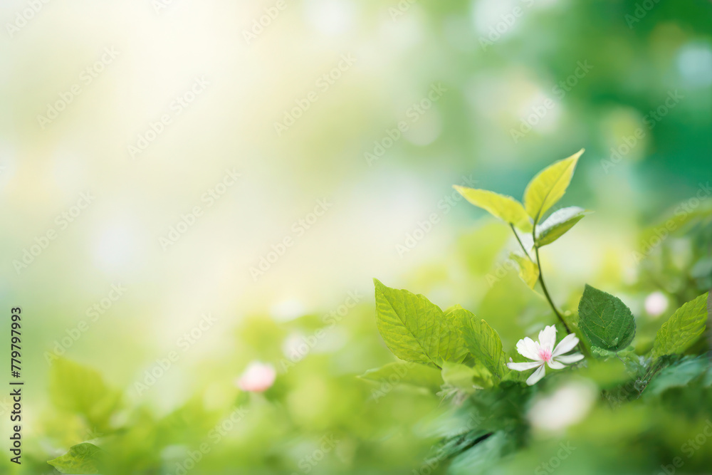 Beautiful natural spring green background with flower Beautiful natural spring green background with flower