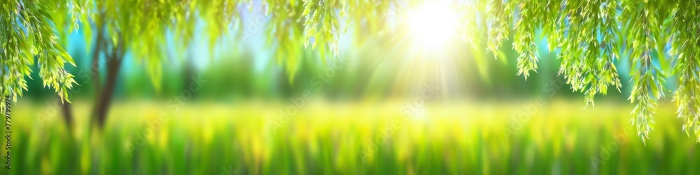 Fototapeta premium Abstract blurred illustration sun rays break through willow leaves. Background for design, place for text. 