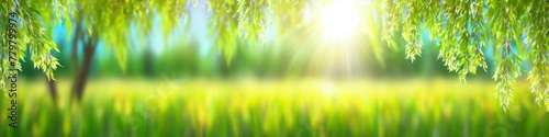 Abstract blurred illustration sun rays break through willow leaves. Background for design, place for text. 