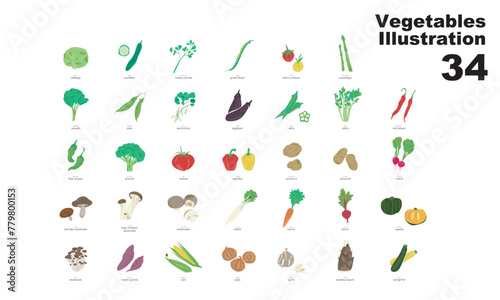 野菜のイラスト、グラフィック素材、ベクター