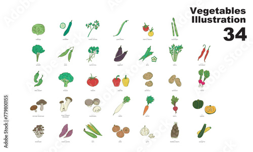 野菜のイラスト、グラフィック素材、ベクター