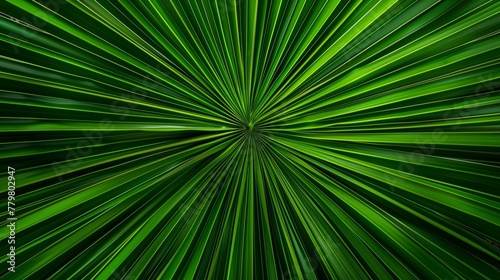 Abstract green lines radiating from center with a dynamic speed effect