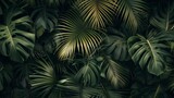 Lush tropical leaves background with monstera and palm fronds