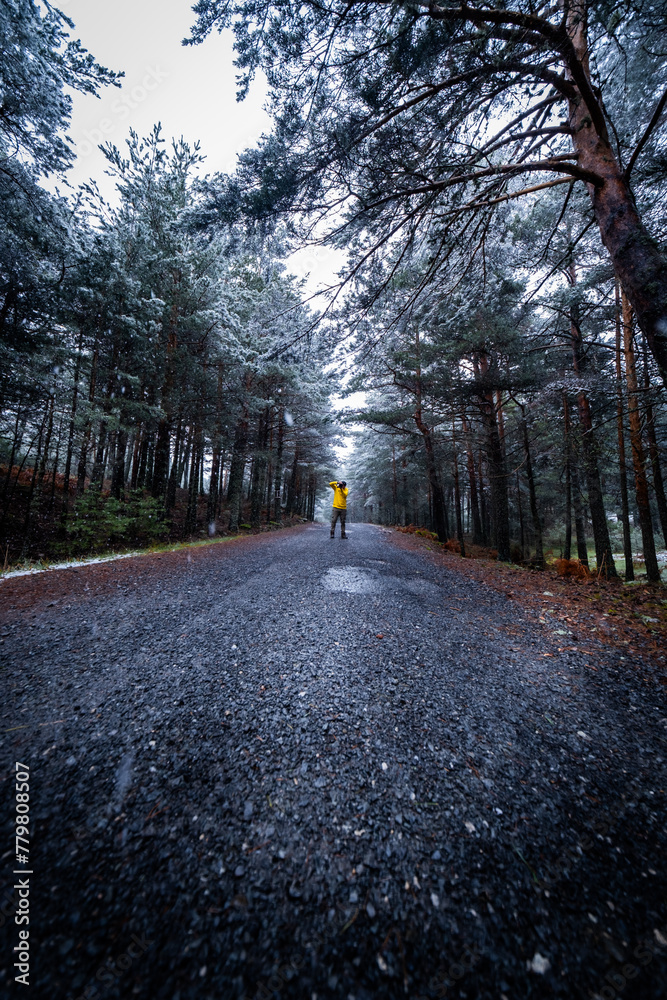 Naklejka premium Winter weather transforms landscape into serene haven for outdoor enthusiasts.