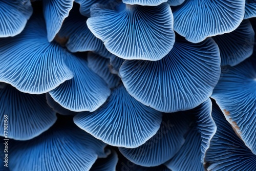 Detailed Blue mushroom closeup background. Water glow. Generate Ai #779811969
