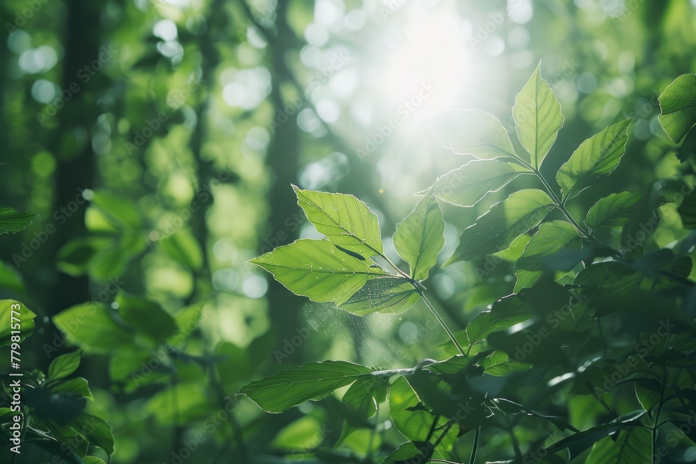 Dappled Light on Fresh Green Foliage Closeup