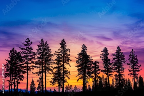 Sunset Colors Painting the Sky Behind Tree Silhouettes © Ilia Nesolenyi