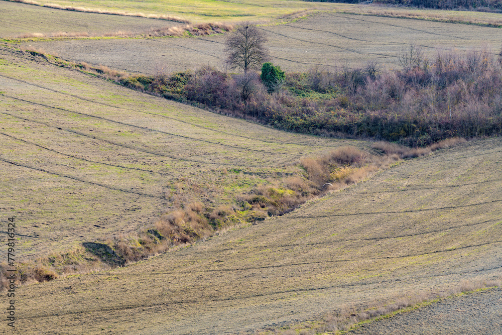 Landscape near Bologna: agricultural fields, arable land. Bologna, Italy