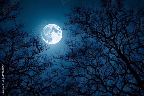 Full Moon Through Bare Tree Branches