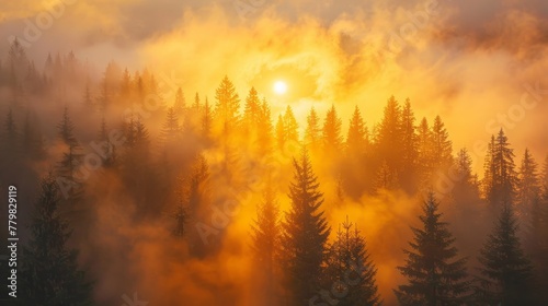 The sun is shining through the trees  casting a warm glow on the forest. The misty atmosphere adds a sense of mystery and tranquility to the scene