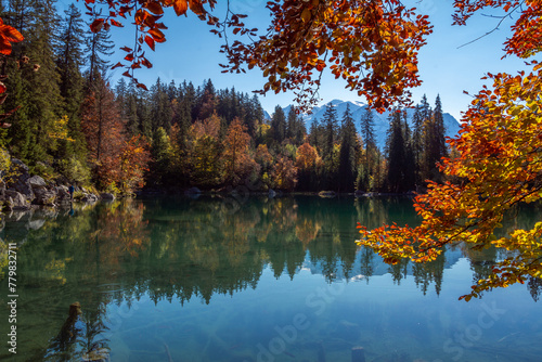 Fototapeta Naklejka Na Ścianę i Meble -  Le lac Vert en automne, Passy, Haute-Savoie