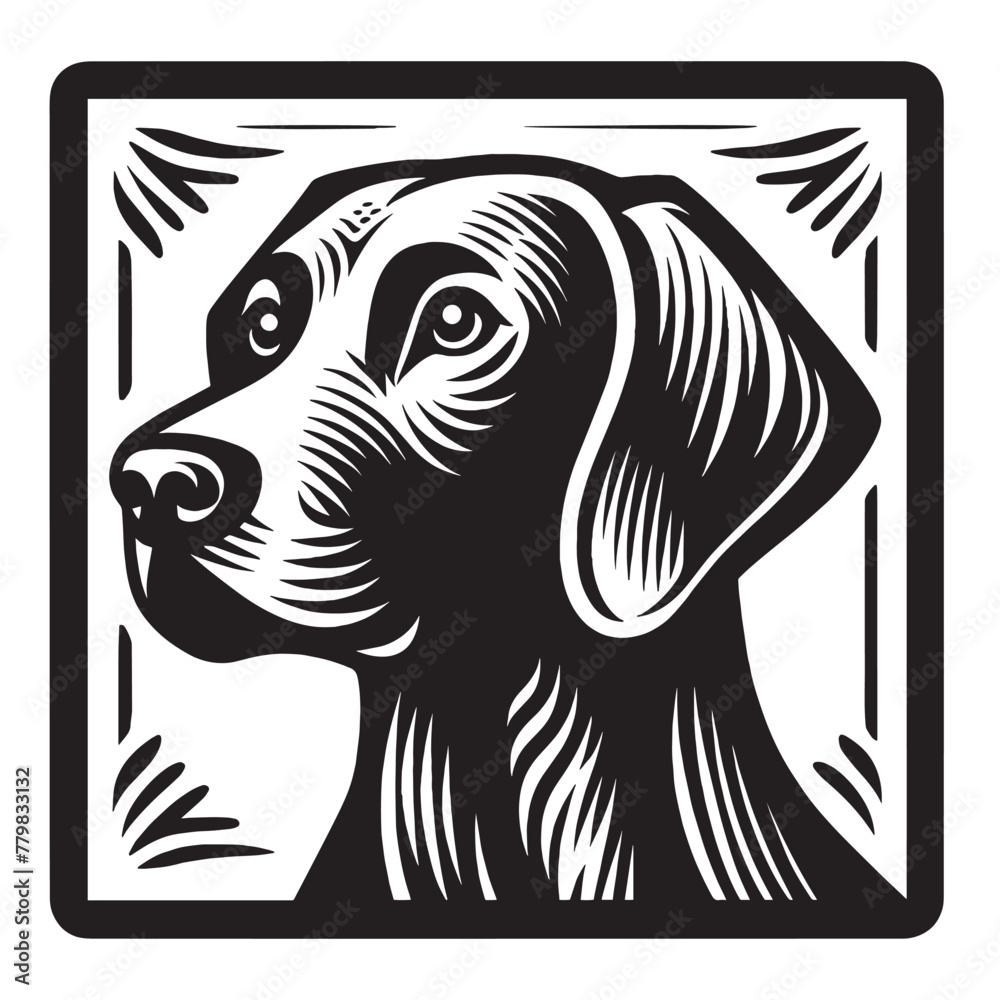 Fototapeta premium Weimaraner, Weimaraner Vorstehhund, Weim, Grey Ghost. Square emblem. Beautiful engraving monochrome vector illustration. Icon, logo, isolated object