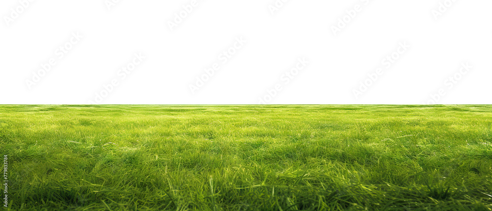 Fototapeta premium Green grass field, cut out