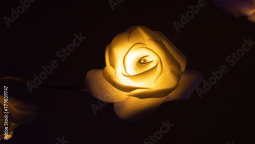 glowing rose