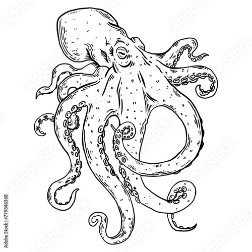 Photography Octopus engraving PNG illustration