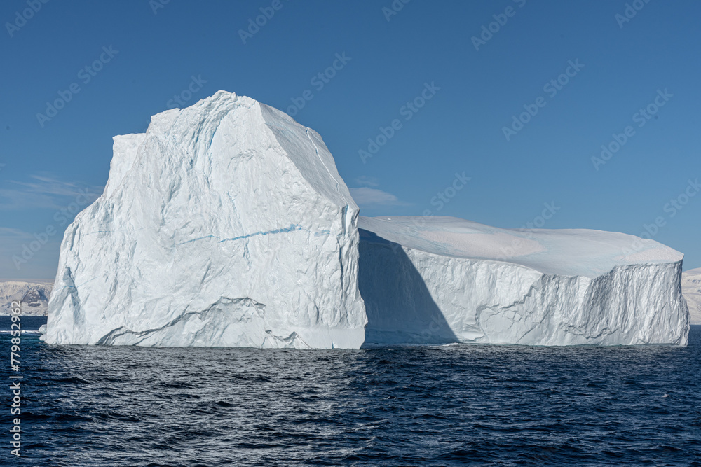Antarctica Antarctica