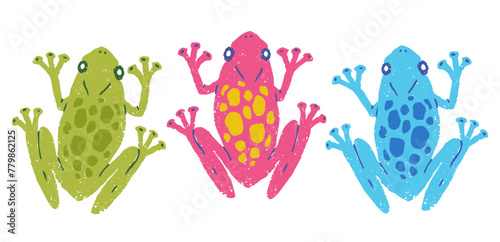 Vector set illustration of tropical frogs. Exotic frogs.