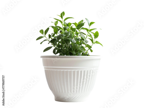 HD Plastic Flower Pot