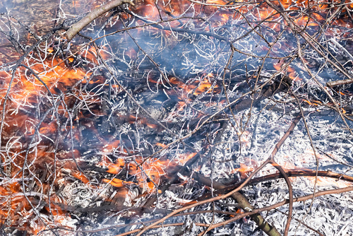 A pile of burning branches, smoke and ash.