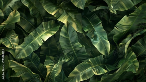 A Lush Tropical Leaves Background