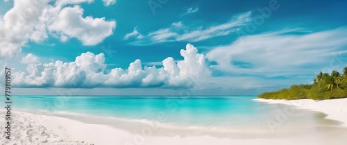 beautiful beach with a blue ocean and white clouds in the sky