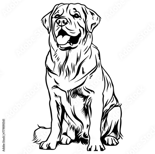 big dog facing front with its mouth open
