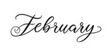 February - Handwritten inscription in calligraphic style on a white background. Vector illustration
