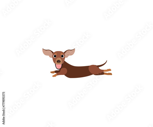 Smile dachshund 4