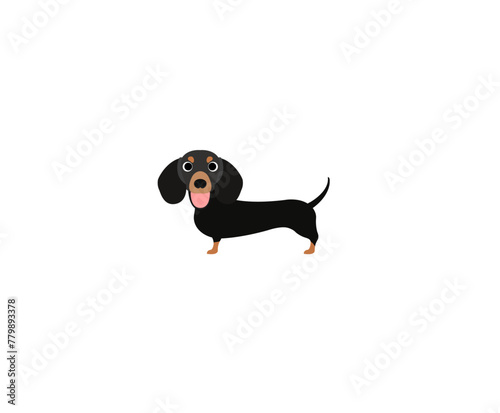 Smile dachshund 8