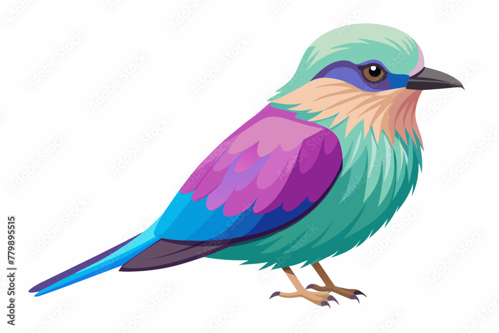 Lilac breasted roller vector illustration