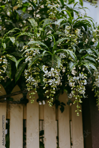 Urban Landscaping