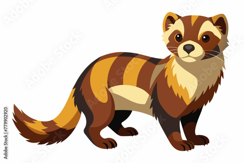 Ferret vector design on white background.