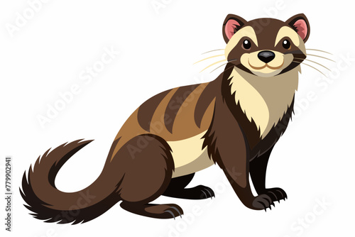 Ferret vector design on white background.