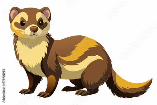Ferret vector design on white background.