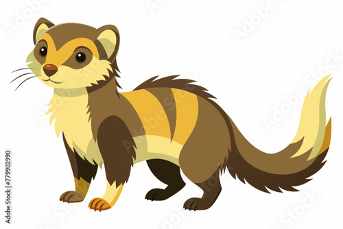 Ferret vector design on white background.
