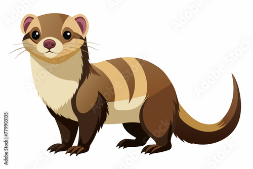 Ferret vector design on white background.