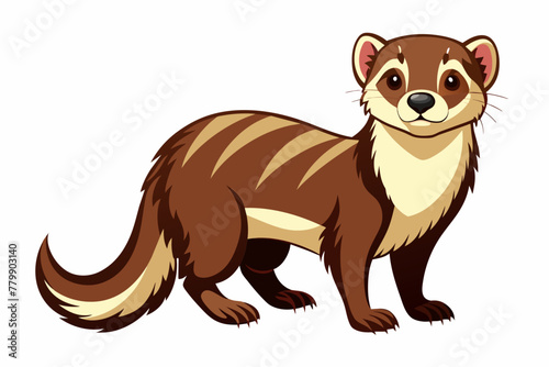 Ferret vector design on white background.