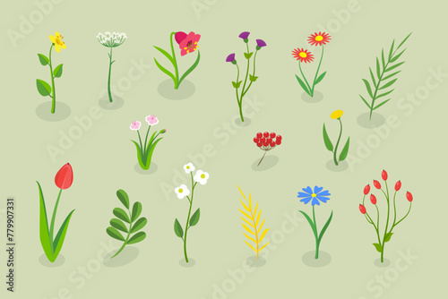 3D Isometric Flat Vector Illustration of Flowers Collection, Set of Various Blooming Plants