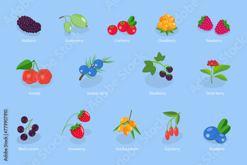 3D Isometric Flat Vector Set of Berries, Healthy Detox Natural Products
