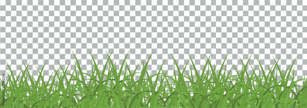 bright green realistic grass border isolated on transparent background ...