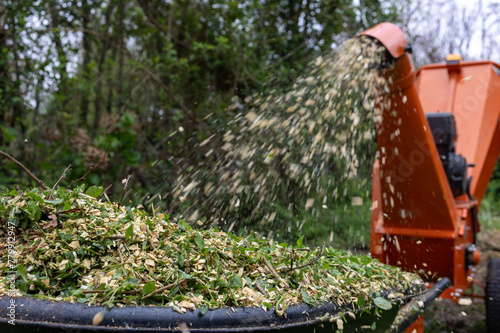 wood shredding machine in operation in the garden. A more sustainable alternative for the management of pruning waste. photo