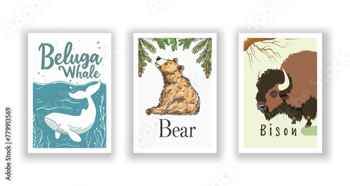 Wildlife and Nature Cards - Bear, Beluga Whale, Bison, Hand drawn cute Fox flyer. Vector illustration © ImageDesigner