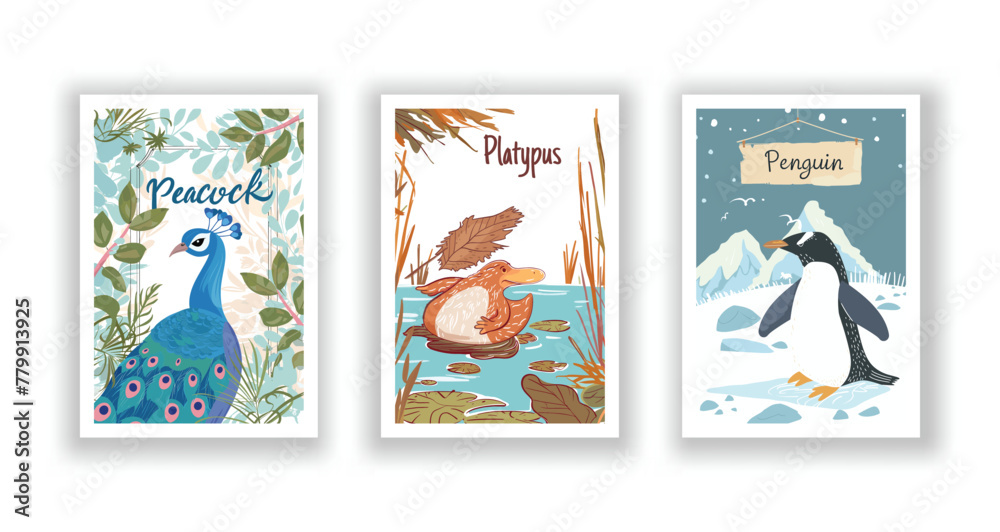 Wildlife and Nature Cards - Peacock, Penguin, Platypus, Hand drawn cute Fox flyer. Vector illustration
