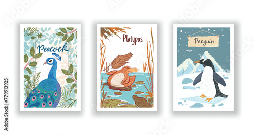 Wildlife and Nature Cards - Peacock, Penguin, Platypus, Hand drawn cute Fox flyer. Vector illustration