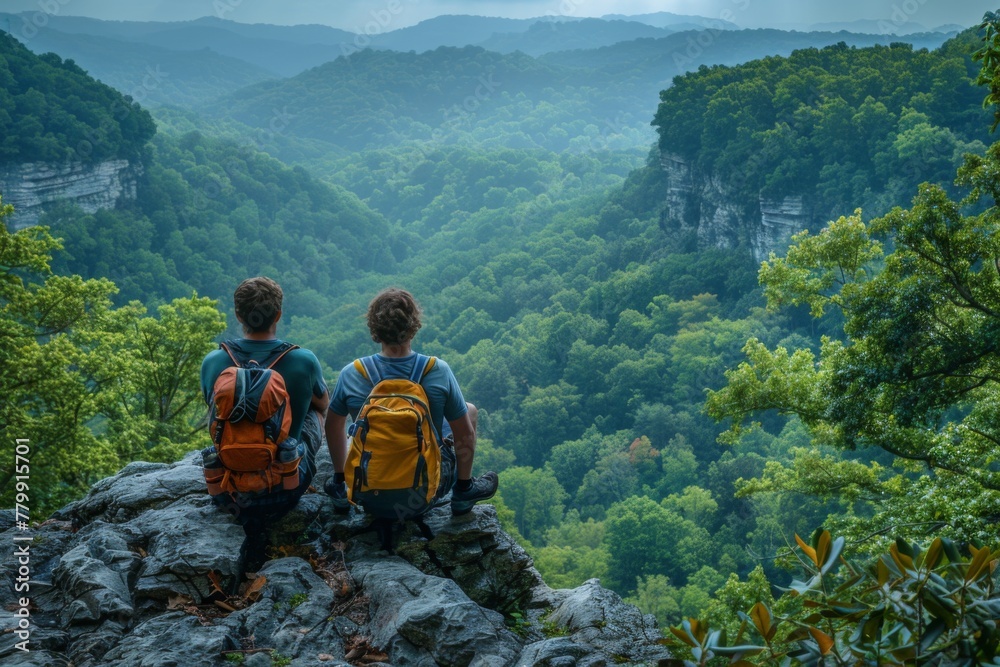 Two hikers gaze into a forested valley from a rocky peak.
