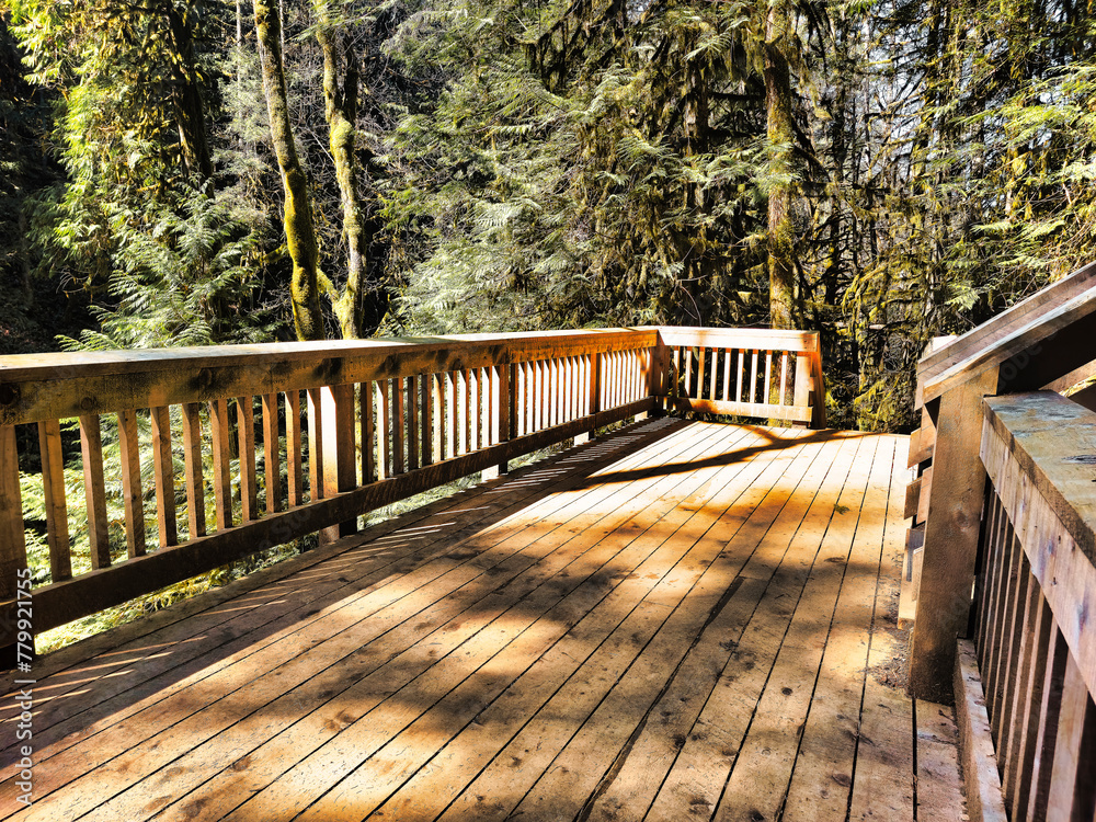 Concept Design of Bridge and Stairs at The Benson Creek Falls Regional Park, Nanaimo, British Colombia, Canada Concept Design of Bridge and Stairs at The Benson Creek Falls Regional Park, Nanaimo, British Colombia, Canada