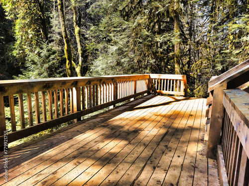 Concept Design of Bridge and Stairs at The Benson Creek Falls Regional Park, Nanaimo, British Colombia, Canada
