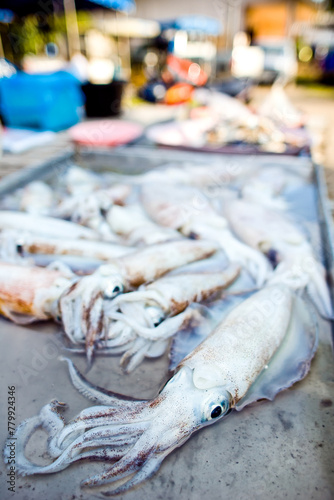 Fresh squid at outdoor market